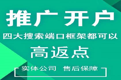 SEM代运营案例：企业增长动力源泉